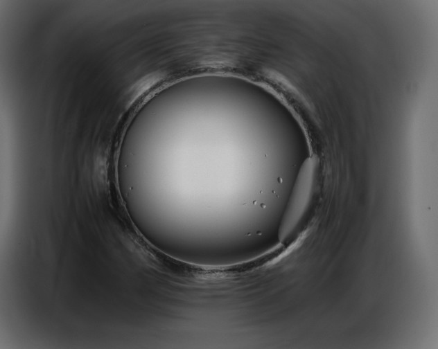 X0000086741162200704131122