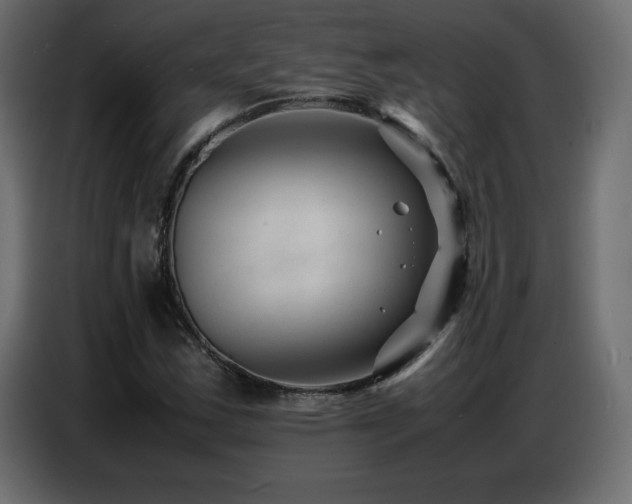 X0000086741163200704131122
