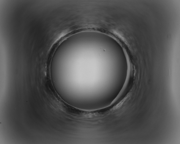 X0000086741165200704131122