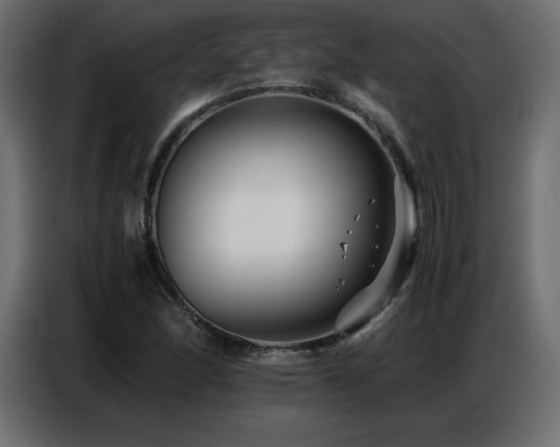 X0000086741166200704131122