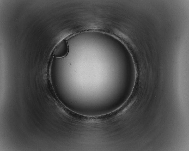 X0000086741170200704131122