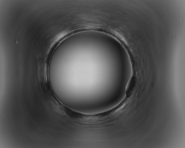 X0000086741171200704131122