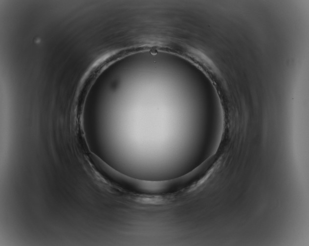 X0000086741172200704131122