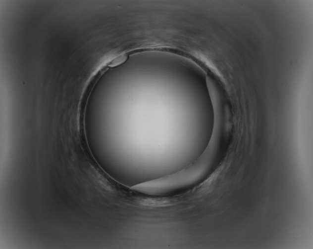 X0000086741173200704131122