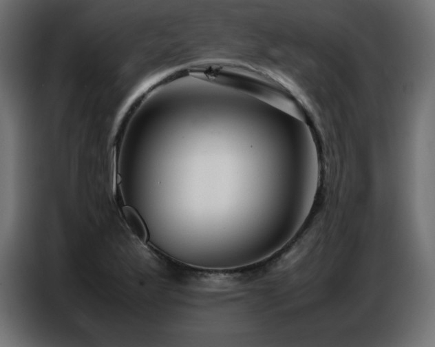 X0000086741175200704131122