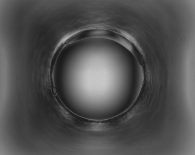 X0000086741176200704131122