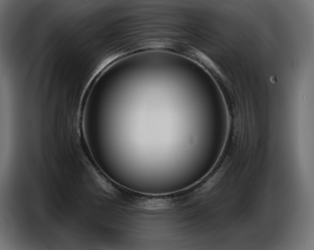X0000086741178200704131122