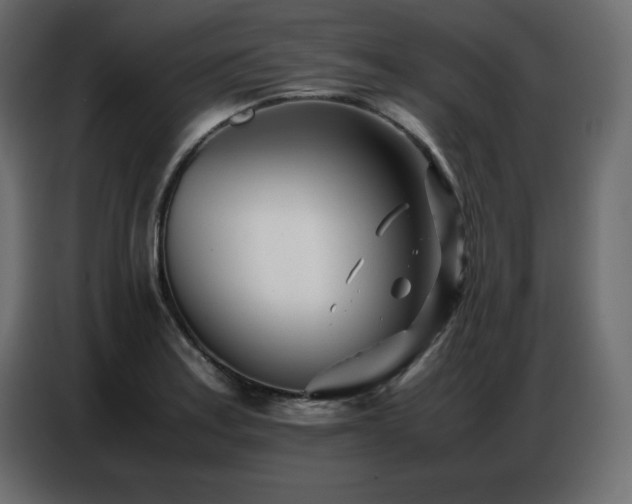 X0000086741179200704131122