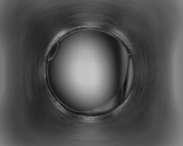 X0000086741180200704131122