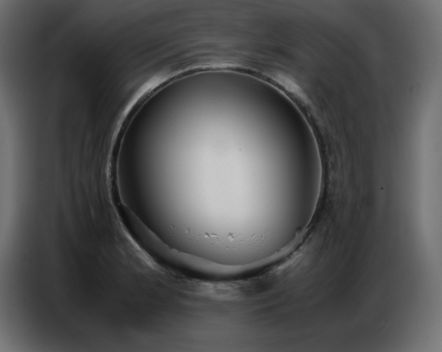 X0000086741181200704131122