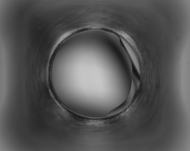 X0000086741183200704131122