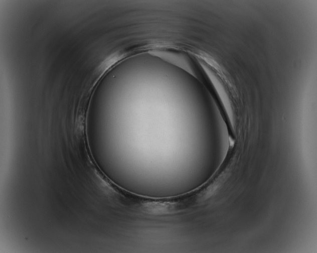 X0000086741185200704131122