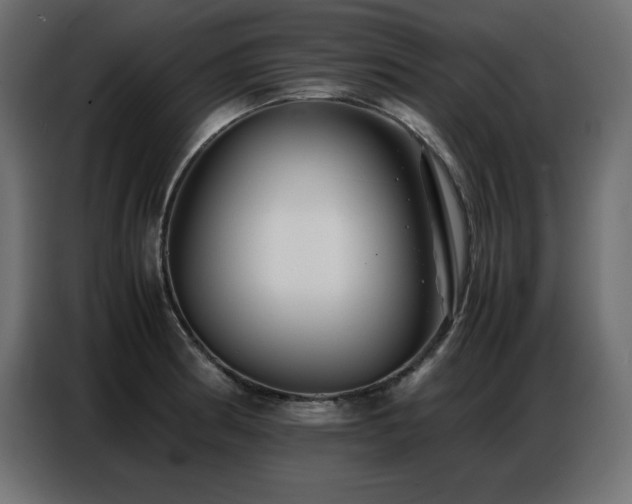 X0000086741186200704131122