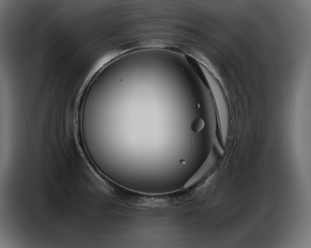 X0000086741187200704131122