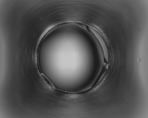 X0000086741188200704131122