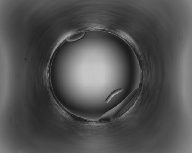 X0000086741190200704131122