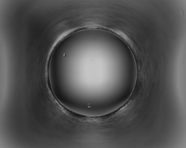 X0000086741191200704131122