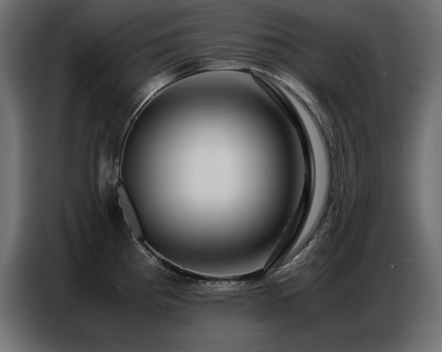 X0000086741193200704131122