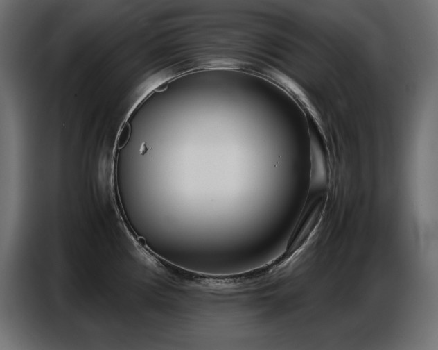 X0000086741194200704131122