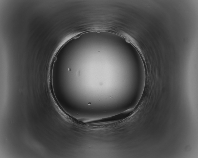 X0000086741195200704131122