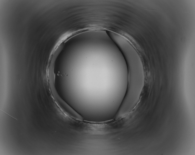 X0000086741196200704131122