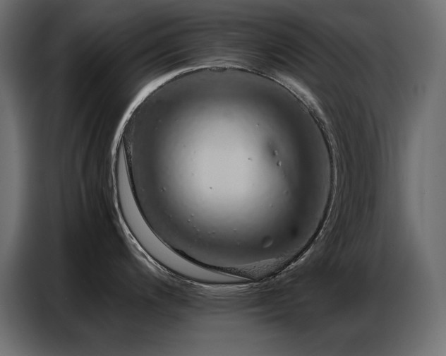 X0000086741200200704131122
