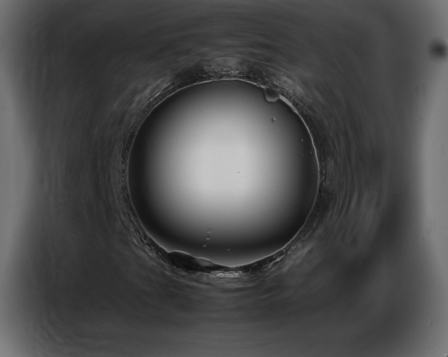 X0000086741201200704131121