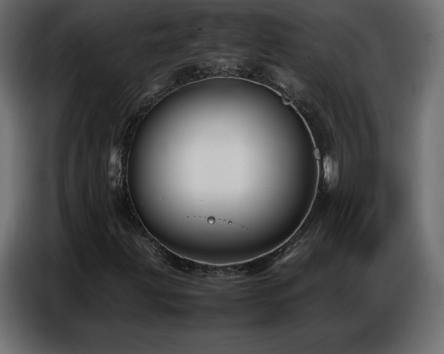 X0000086741203200704131121