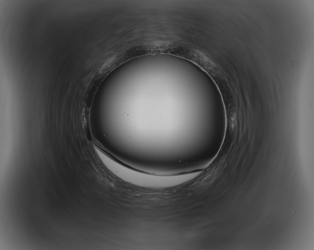 X0000086741204200704131121