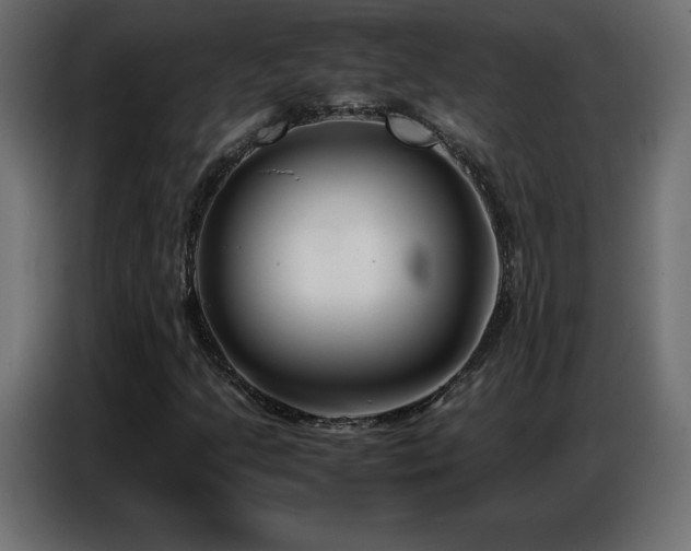 X0000086741205200704131121