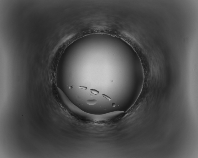 X0000086741207200704131121
