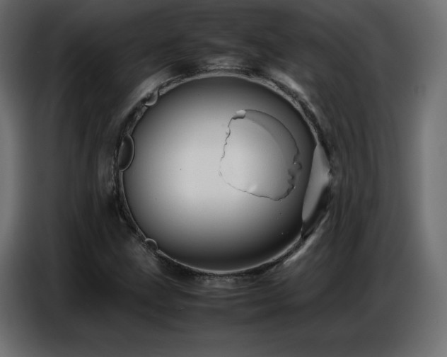 X0000086741211200704131121