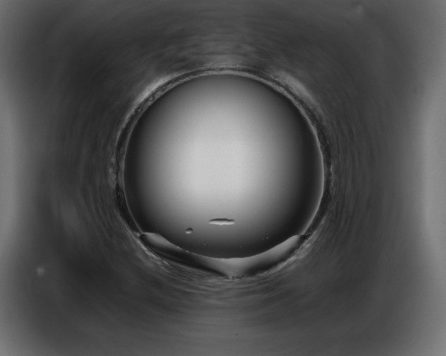 X0000086741212200704131121