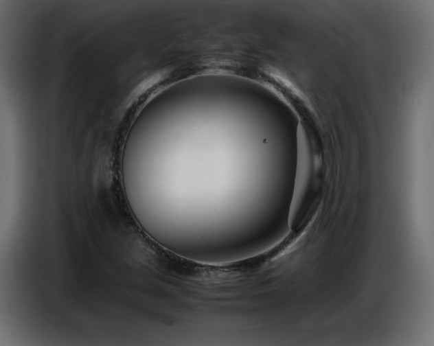 X0000086741213200704131121