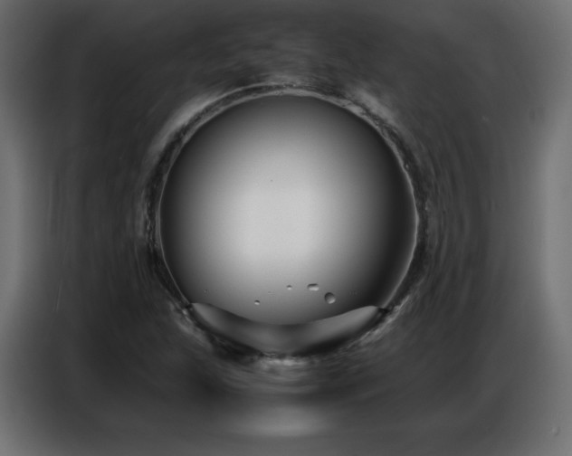 X0000086741215200704131121