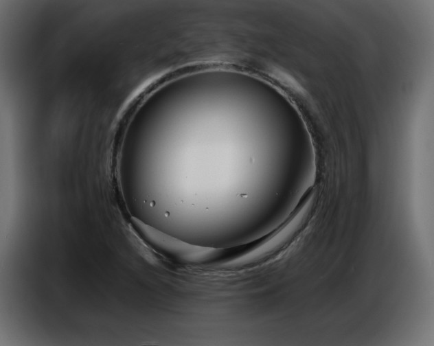 X0000086741216200704131121