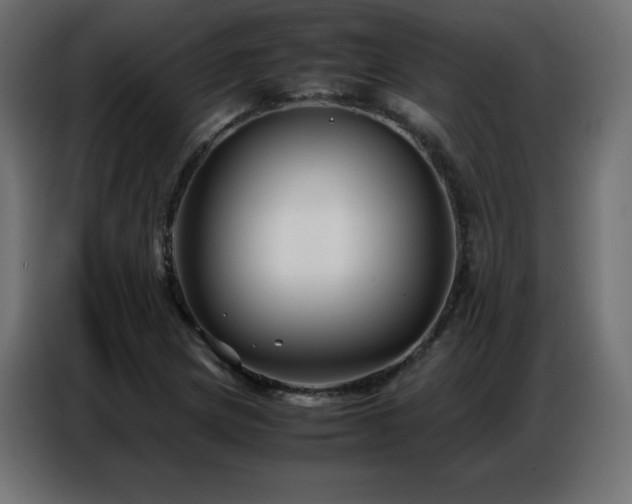 X0000086741217200704131121