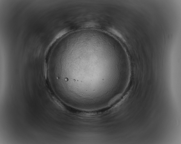 X0000086741219200704131121