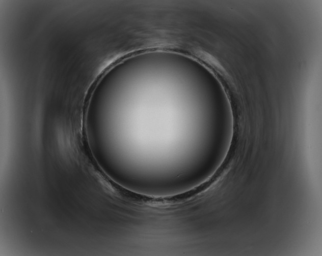 X0000086741220200704131121