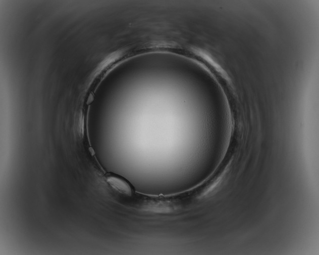 X0000086741221200704131121