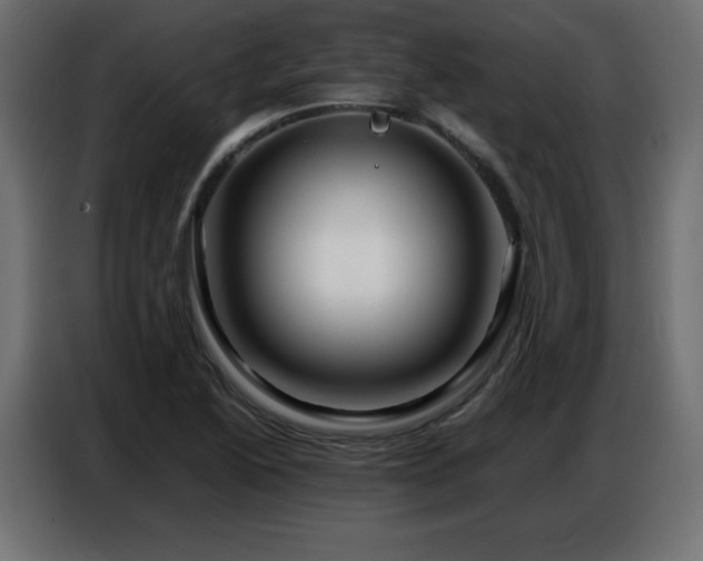 X0000086741222200704131121