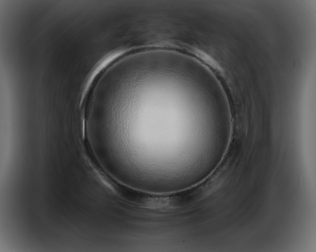 X0000086741223200704131121