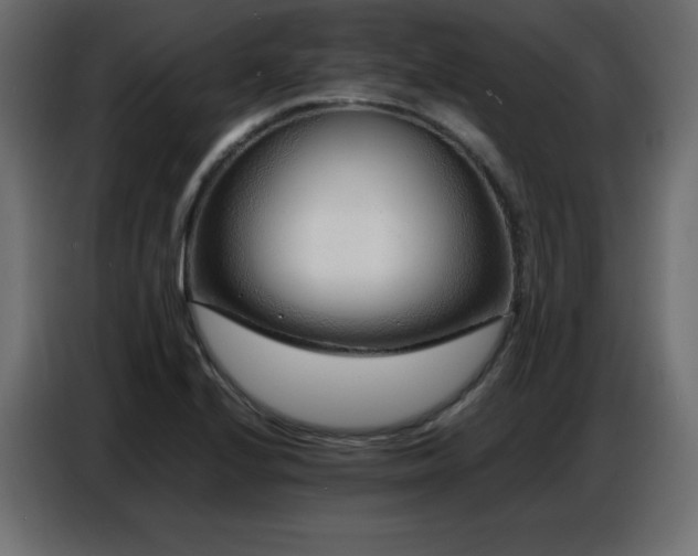 X0000086741224200704131121