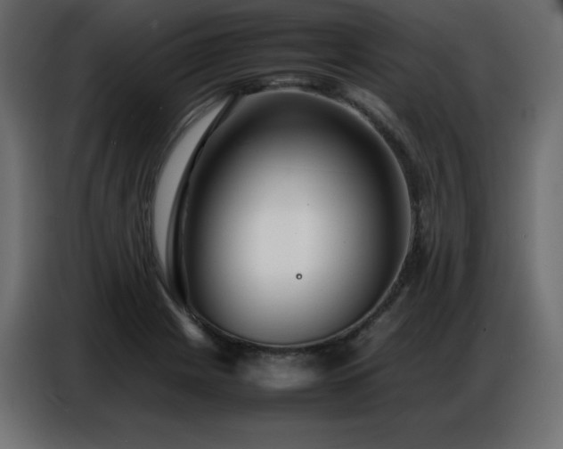 X0000086741225200704131121