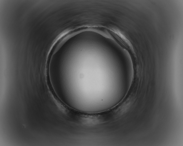X0000086741229200704131121