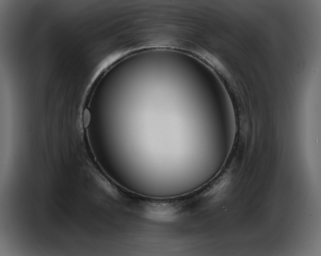 X0000086741230200704131121