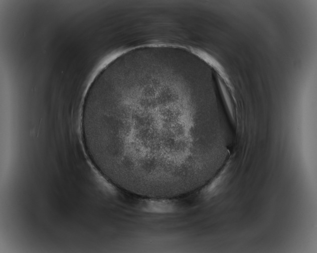 X0000086741231200704131121