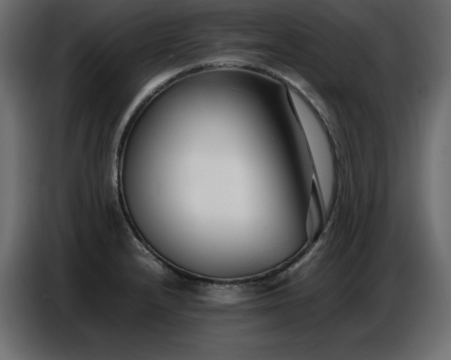 X0000086741232200704131121