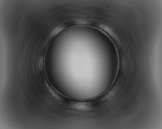 X0000086741233200704131121