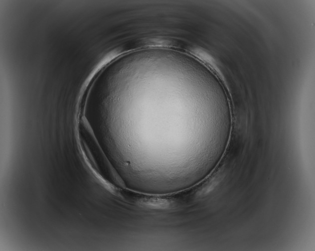 X0000086741235200704131121